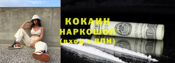 ешки Аркадак