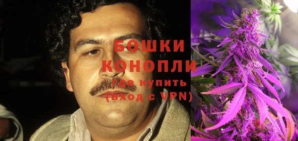 ешки Аркадак