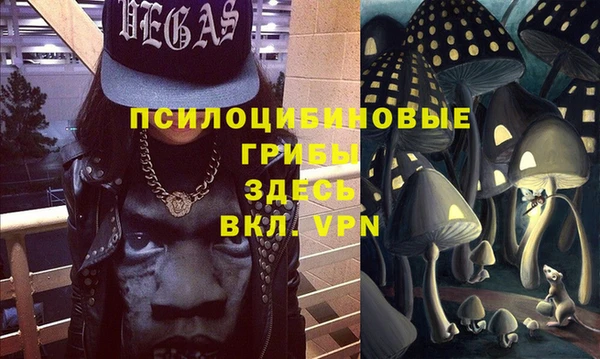 ешки Аркадак